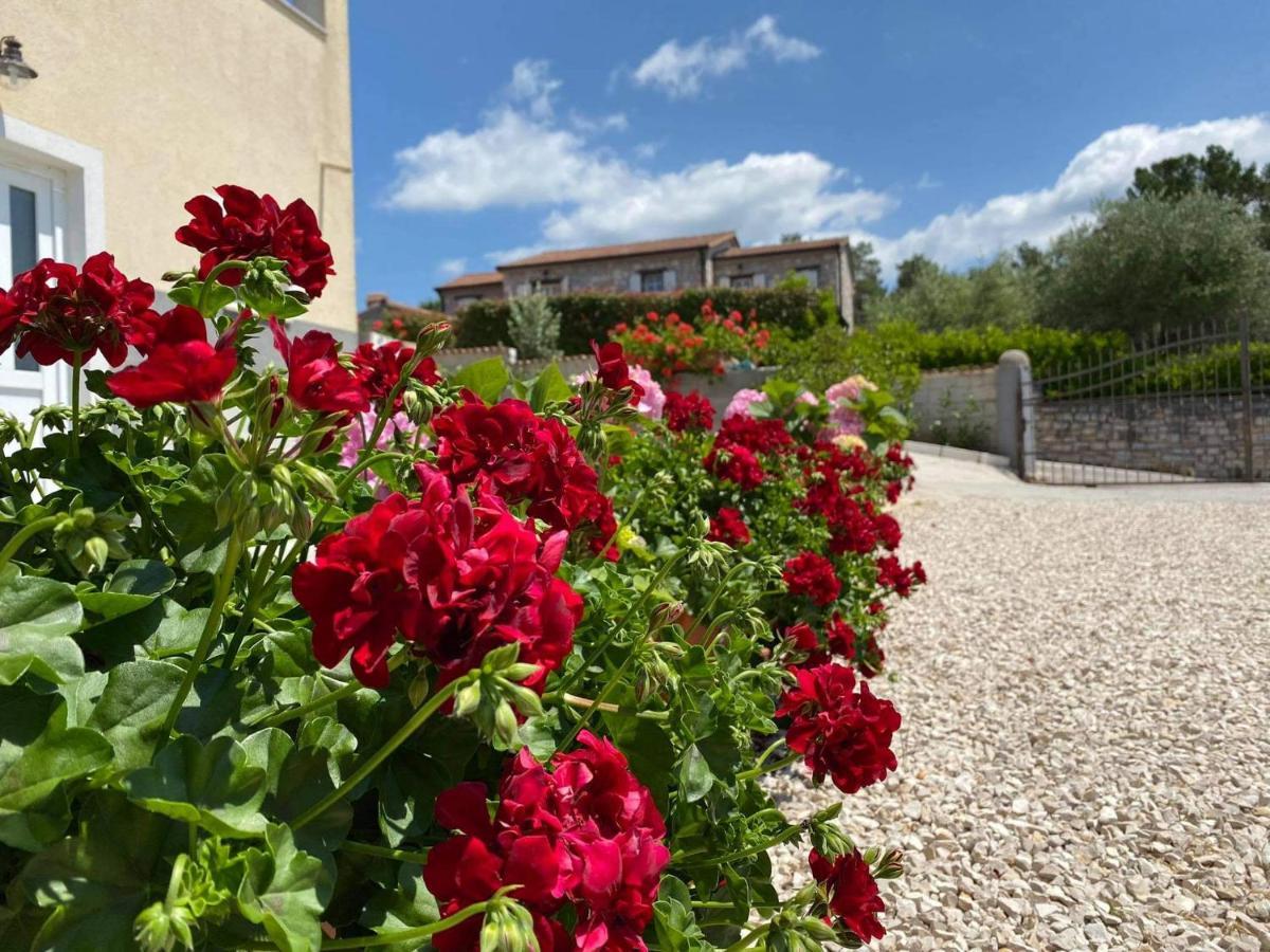 Apartman Luna Sveti Lovreč Pazenatički Exterior foto